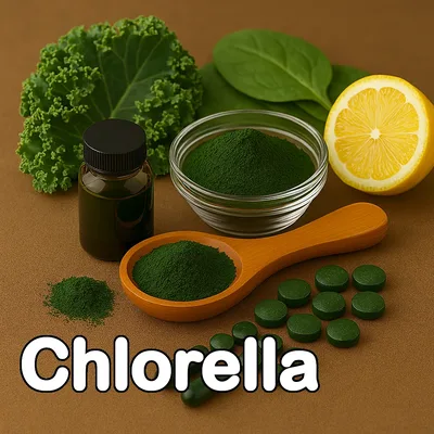 Chlorella